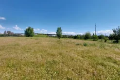 #23485 Terreno agricolo di 31.895 mq