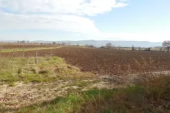 #4746 Terreno agricolo di 9.900 mq