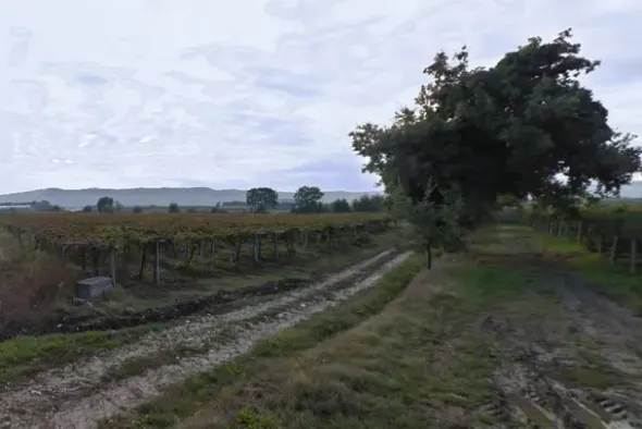 #4746 Terreno agricolo di 9.900 mq