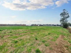 #23067 Terreno agricolo di 30.282 mq