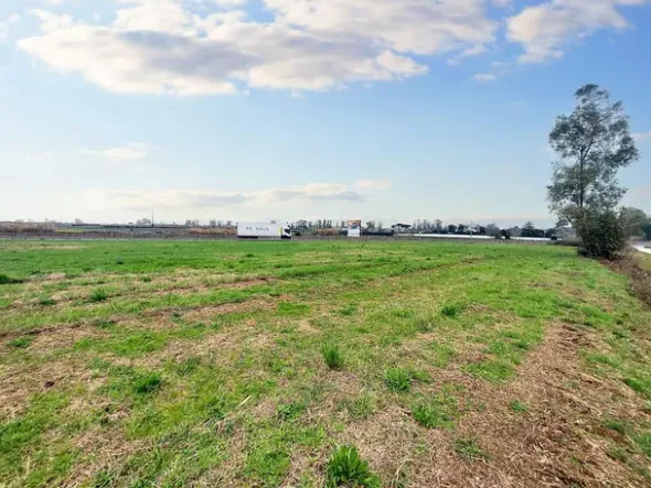 #23067 Terreno agricolo di 30.282 mq