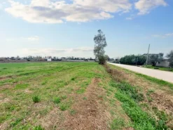 #23067 Terreno agricolo di 30.282 mq