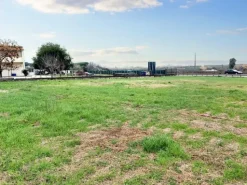 #23067 Terreno agricolo di 30.282 mq