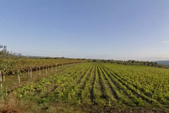 #4765 Terreno agricolo di 3.630 mq