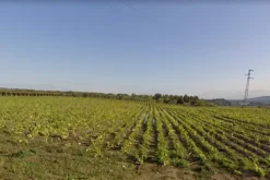 #4765 Terreno agricolo di 3.630 mq