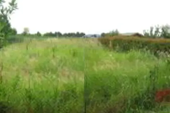 #10917 Terreno agricolo di 240 mq