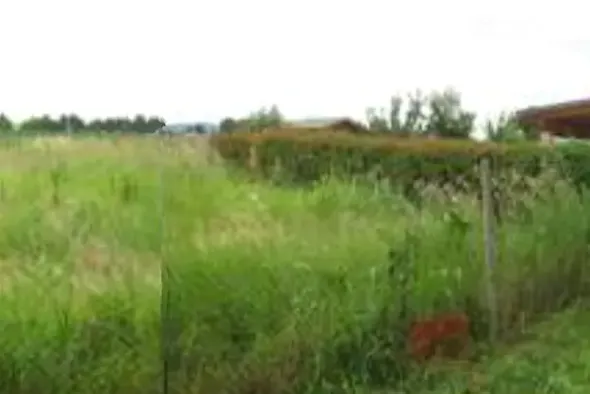 #10917 Terreno agricolo di 240 mq