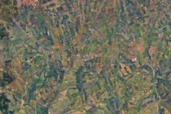#25488 Terreno agricolo di 54.382 mq