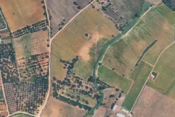 #25488 Terreno agricolo di 54.382 mq