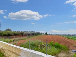 #25843 Terreno agricolo di 22.935 mq coltivato ad agrumeto