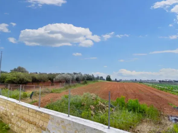 #25843 Terreno agricolo di 22.935 mq coltivato ad agrumeto