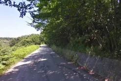 #4775 Terreno agricolo e boschivo di 180.187 mq