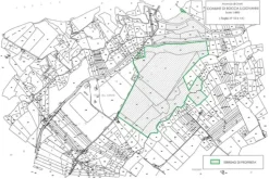 #4775 Terreno agricolo e boschivo di 180.187 mq