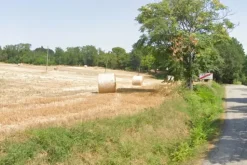 #706 Terreno agricolo (ex produttivo)