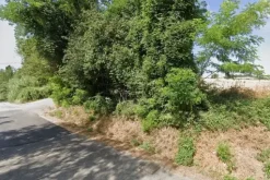 #706 Terreno agricolo (ex produttivo)