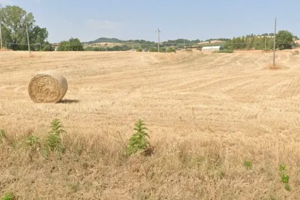 #706 Terreno agricolo (ex produttivo)