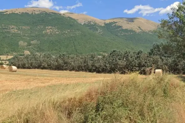 #22777 Terreno agricolo in zona di campagna