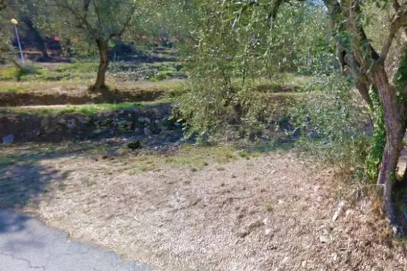#13116 Terreno agricolo in zona residenziale collinare