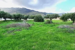 #24972 Terreno agricolo in zona rurale di espansione
