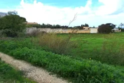 #24972 Terreno agricolo in zona rurale di espansione