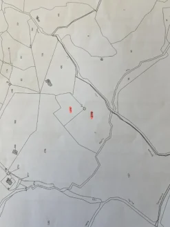 Terreno Agricolo perfetto per Vigneto - SARDEGNA