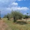 #23568 Terreno a Mazzarrone a prevalente destinazione agricola