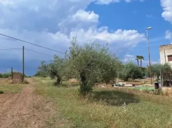 #23568 Terreno a Mazzarrone a prevalente destinazione agricola