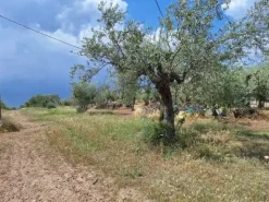 #23568 Terreno a Mazzarrone a prevalente destinazione agricola