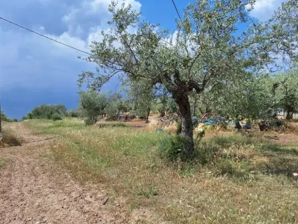 #23568 Terreno a Mazzarrone a prevalente destinazione agricola