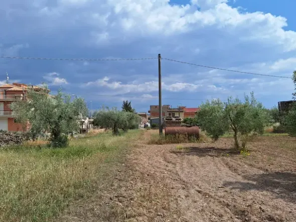 #23568 Terreno a Mazzarrone a prevalente destinazione agricola