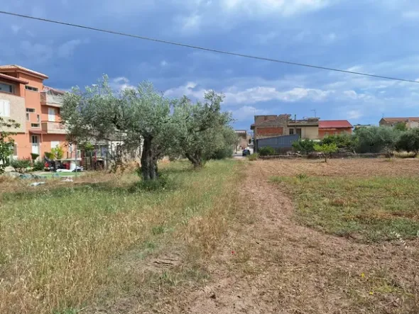 #23568 Terreno a Mazzarrone a prevalente destinazione agricola