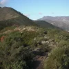 Terreno Ceriale (SV) monte Piccaro