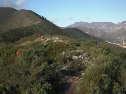 Terreno Ceriale (SV) monte Piccaro