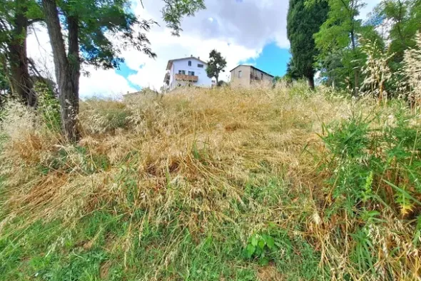 #2639454 Terreno collinare a destinazione agricola