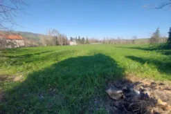 #20165 Terreno collinare residenziale di 12150 mq