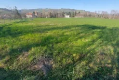 #20165 Terreno collinare residenziale di 12150 mq