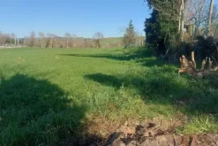 #20165 Terreno collinare residenziale di 12150 mq