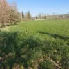 #20165 Terreno collinare residenziale di 12150 mq