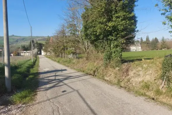 #20165 Terreno collinare residenziale di 12150 mq