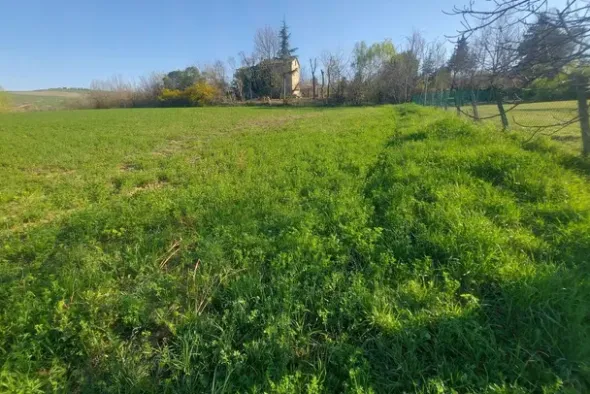 #20165 Terreno collinare residenziale di 12150 mq