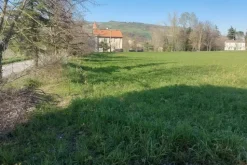 #20165 Terreno collinare residenziale di 12150 mq