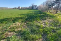 #20165 Terreno collinare residenziale di 12150 mq
