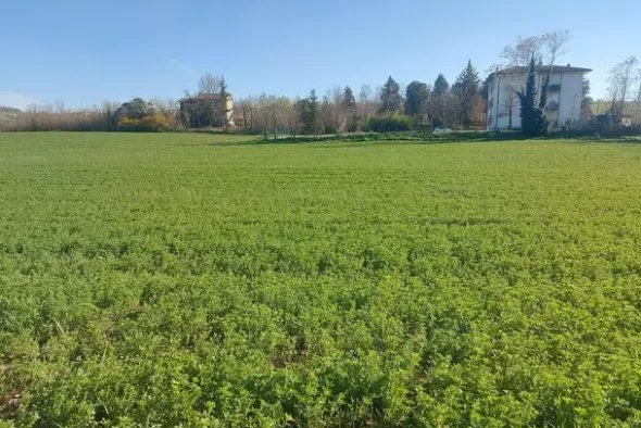 #20165 Terreno collinare residenziale di 12150 mq