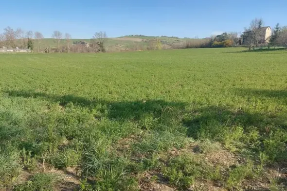 #20165 Terreno collinare residenziale di 12150 mq