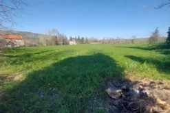 #20165 Terreno collinare residenziale di 12150 mq