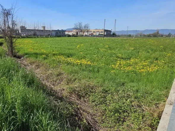 #23524 Terreno commerciale-industriale-direzionale ad intervento diretto fronte SP 349