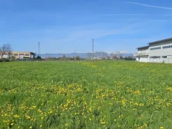 #23524 Terreno commerciale-industriale-direzionale ad intervento diretto fronte SP 349