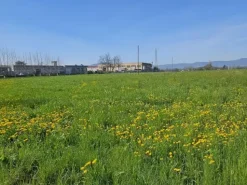 #23524 Terreno commerciale-industriale-direzionale ad intervento diretto fronte SP 349