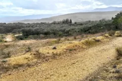#25915 Terreno con ex cava dismessa di 26075 mq