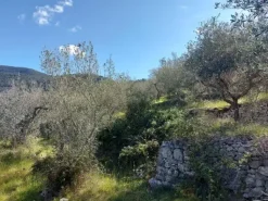 #20508 Terreno con fabbricato da ripristinare